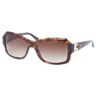 Ralph Lauren Sunglasses RL8107Q 500313