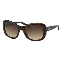 Ralph Lauren Sunglasses RL8132 500313