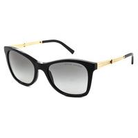 Ralph Lauren Sunglasses RL8113 500111