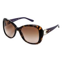 Ralph Lauren Sunglasses RL8108Q 500313