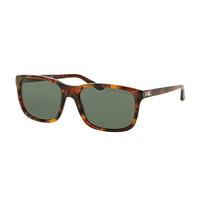 Ralph Lauren Sunglasses RL8142 501771