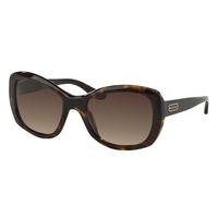 Ralph Lauren Sunglasses RL8132 500111