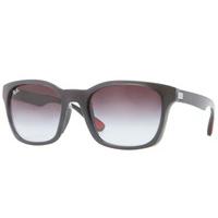 ray ban rb4197 active lifestyle sunglasses 60068g