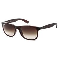 Ray-Ban RB4202 Andy Sunglasses 607313