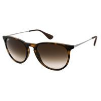 ray ban rb4171 erika sunglasses 86513