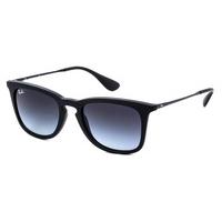 Ray-Ban RB4221 Youngster Sunglasses 622/8G