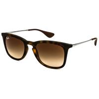 Ray-Ban RB4221 Youngster Sunglasses 865/13