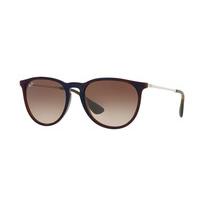 ray ban rb4171 erika sunglasses 631513