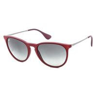 Ray-Ban RB4171 Erika Color Mix Sunglasses 6001/11