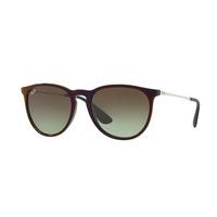 ray ban rb4171 erika sunglasses 6316e8