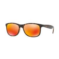 Ray-Ban RB4202 Andy Polarized Sunglasses 710/6S