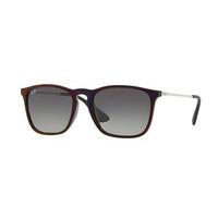 ray ban rb4187 chris sunglasses 631611