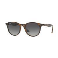 Ray-Ban RB4259 Sunglasses 710/11