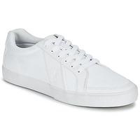 Ralph Lauren HUGH men\'s Shoes (Trainers) in white
