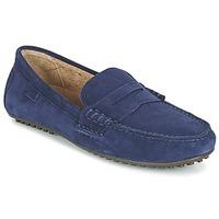 Ralph Lauren WES men\'s Loafers / Casual Shoes in blue