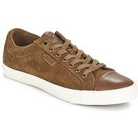 Ralph Lauren GEFFREY men\'s Shoes (Trainers) in brown