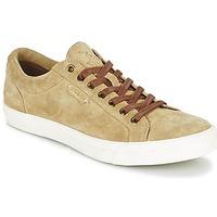 Ralph Lauren GEFFREY men\'s Shoes (Trainers) in brown