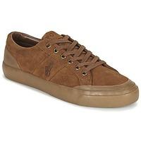 Ralph Lauren IAN men\'s Shoes (Trainers) in brown