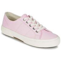 Ralph Lauren JOLIE SNEAKERS VULC women\'s Shoes (Trainers) in pink