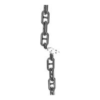 RAZE Lifting Chain