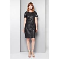 Rapture Seam Detail Dress