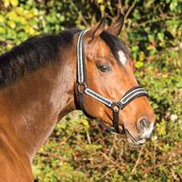 Rambo Diamante Headcollar