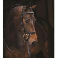 rambo micklem diamante comp bridle