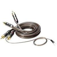 RCA cable 0.80 m Sinuslive CX-08 [2x RCA plug (phono) - 2x RCA plug (phono)]