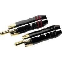 RCA plug Sinuslive CS [1x RCA pl...