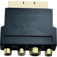 RCA / S-Video / SCART TV/receiver Adapter [3x RCA socket (phono), S-Video socket - 1x SCART plug] 0 m Black Inakustik