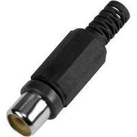 RCA connector Socket, straight Number of pins: 2 Black Conrad Components 1 pc(s)