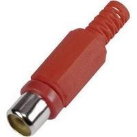 RCA connector Socket, straight Number of pins: 2 Red Conrad Components 1 pc(s)