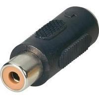 RCA adapter RCA socket (phono) - Mini DIN socket BKL Electronic 0204500 1 pc(s)