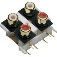 RCA connector Socket, vertical vertical Number of pins: 4 Gold, Red, White BKL Electronic 72385 1 pc(s)