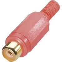 RCA connector Socket, straight Number of pins: 2 Red BKL Electronic 0105002/T 1 pc(s)