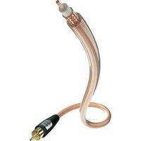 RCA Audio/phono Cable [1x RCA plug (phono) - 1x RCA plug (phono)] 7.50 m Transparent gold plated connectors Inakustik