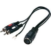 RCA / DIN connector Audio/phono Y adapter [1x DIN socket 5-pin - 2x RCA plug (phono)] Black SpeaKa Professional
