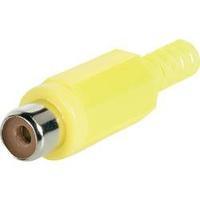 RCA connector Socket, straight Number of pins: 2 Yellow BKL Electronic 1108012/T 1 pc(s)