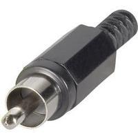 RCA connector Plug, straight Number of pins: 2 Black BKL Electronic 072137/T 1 pc(s)