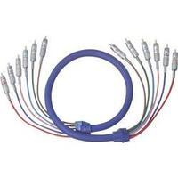 RCA Audio/phono Cable [6x RCA plug (phono) - 6x RCA plug (phono)] 1 m Blue gold plated connectors Oehlbach