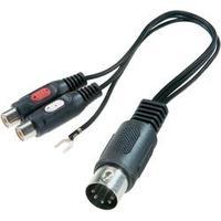 RCA / DIN connector Audio/phono Y adapter [1x Diode plug 5-pin (DIN) - 2x RCA socket (phono)] Black SpeaKa Professional