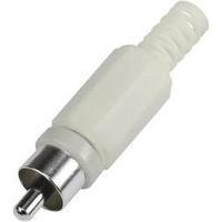 RCA connector Plug, straight Number of pins: 2 White Conrad Components 1 pc(s)