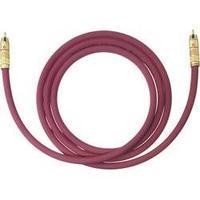 RCA Audio/phono Cable [1x RCA plug (phono) - 1x RCA plug (phono)] 1 m Bordeaux gold plated connectors Oehlbach