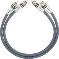 RCA Audio/phono Cable [2x RCA plug (phono) - 2x RCA plug (phono)] 1.25 m Anthracite gold plated connectors Oehlbach