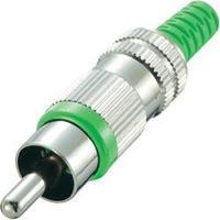 RCA connector Plug, straight Number of pins: 2 Green Conrad Components 1 pc(s)