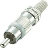 RCA connector Plug, straight Number of pins: 2 White Conrad Components 1 pc(s)