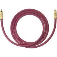 RCA Audio/phono Cable [1x RCA plug (phono) - 1x RCA plug (phono)] 8 m Bordeaux gold plated connectors Oehlbach