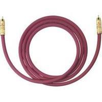 RCA Audio/phono Cable [1x RCA plug (phono) - 1x RCA plug (phono)] 7 m Bordeaux gold plated connectors Oehlbach