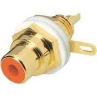 RCA connector Socket, vertical vertical Number of pins: 2 Yellow BKL Electronic 0101145-C 1 pc(s)