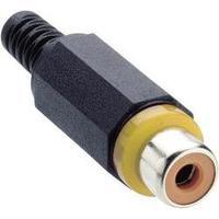 rca connector socket straight number of pins 2 yellow lumberg xkto 1 1 ...